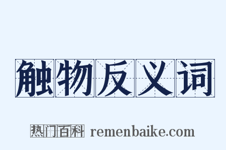 触物反义词是什么意思的图片